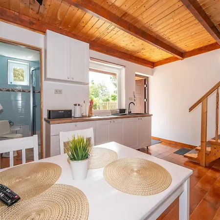 別荘 Spacious And Comfortable Homes With Pool ダルウォボ