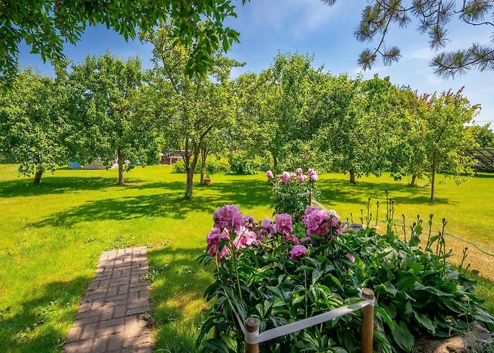 Spacious And Comfortable Homes With Pool Holiday home Darlowo